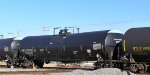CBTX 737032
